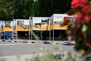 plansze z wystawą stojące na tle drzew w parku, na pierwszym planie widok kwiatów