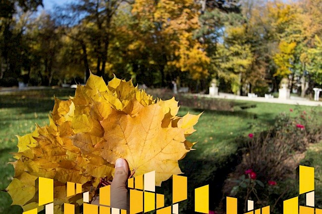 Obraz przedstawia żółte liście liście trzymane w dłoni. Na dalszym planie znajduje się park.  