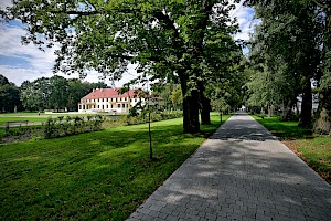 Alejka i tereny zielone przy Zespole Pałacowo-Parkowym w Międzyrzecu Podlaskim