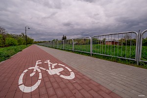 Ścieżka rowerowa - zbliżenia na nawierzchnię z namalowanym białą farbą symbolem roweru, Ścieżka ograniczona jest z prawej strony metalowymi barierkami